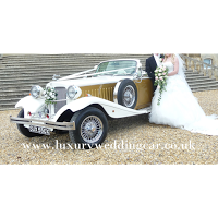 Luxury Wedding Car 1098737 Image 4